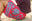 Boardshort "AQUITAINE"